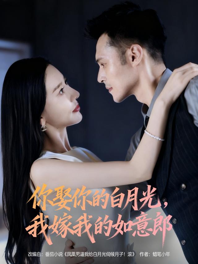 你娶你的白月光,我嫁我的如意郎
