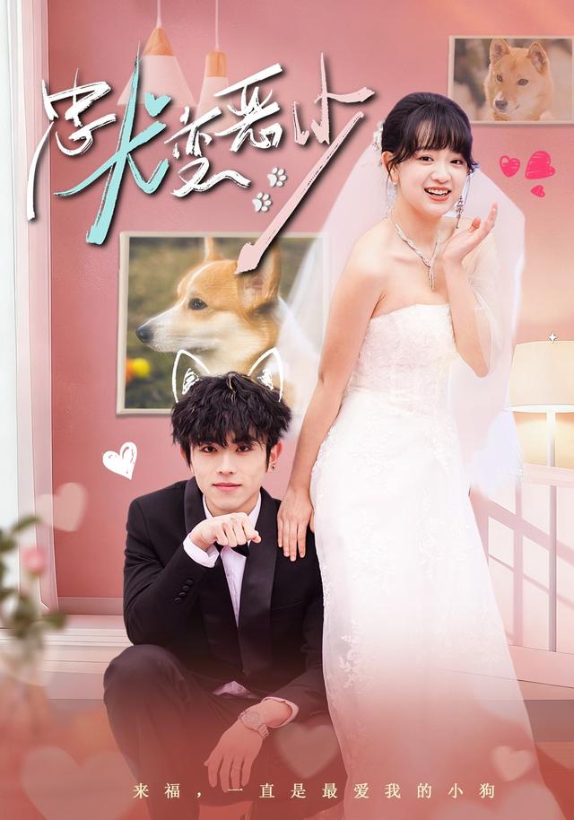 忠犬变恶少