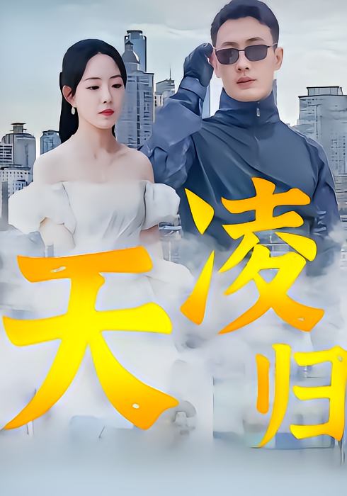 凌天归