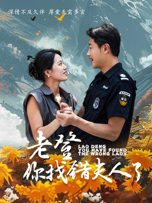 老登你找错夫人了