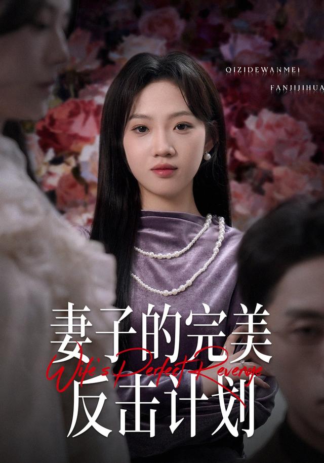 妻子的完美反击计划