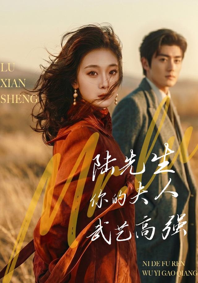 陆先生,你的夫人武艺高强