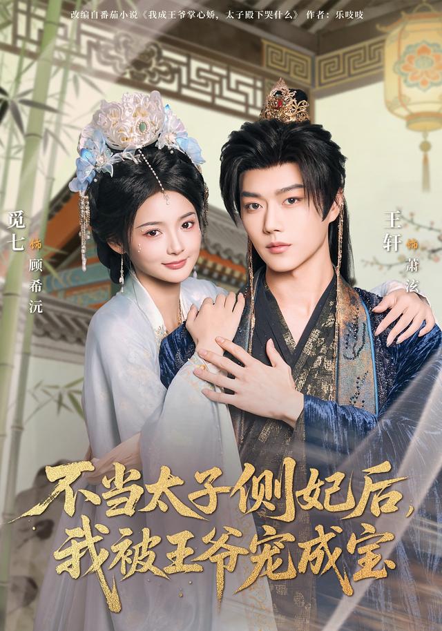 不当太子侧妃后,我被王爷宠成宝