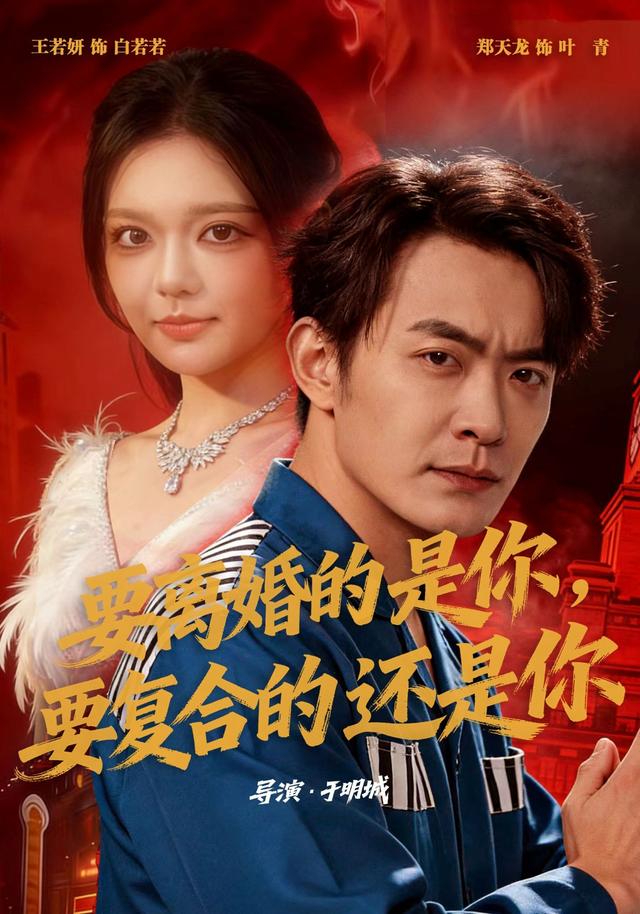要离婚的是你,要复合的还是你