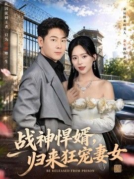 战神悍婿,归来狂宠妻女