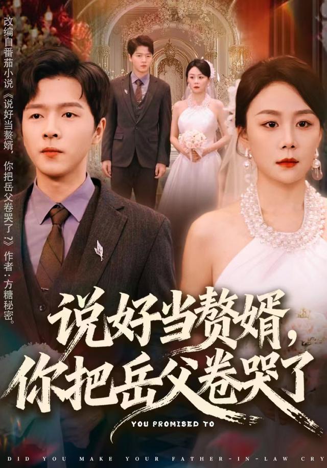说好当赘婿,你把岳父卷哭了