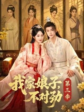 我家娘子,不对劲第三季