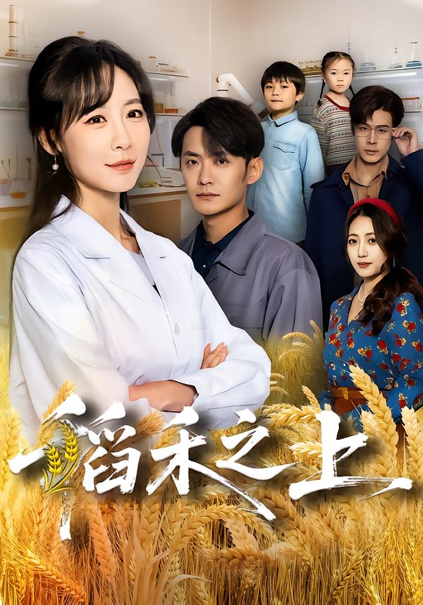 稻禾之上