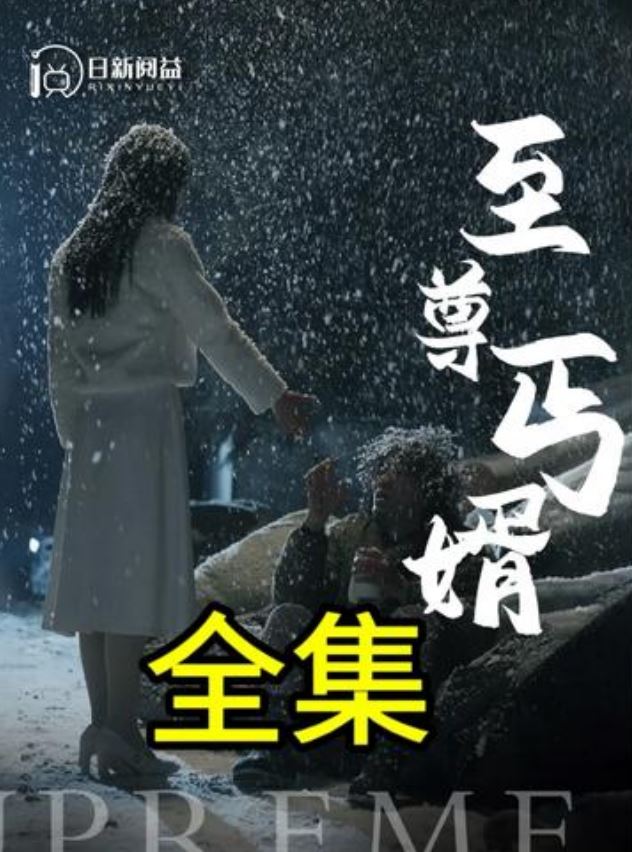 至尊丐婿